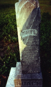 Mary L. Roach
