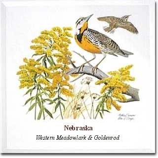 Nebraska State Bird & Flower:  Western Meadowlark & Goldenrod (See: http://www.americanmeadows.com/StateBirdsFlowersWildflowers.aspx)