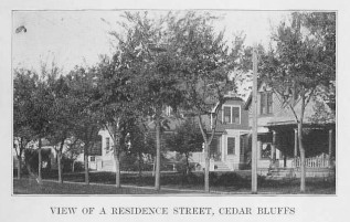 View of a Residence Street, Cedar Bluffs