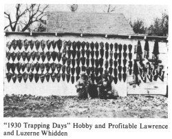 1930 Trapping Days