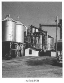 Alfalfa Mill