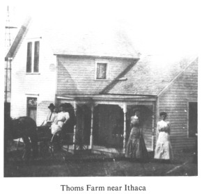 Thoms Farm